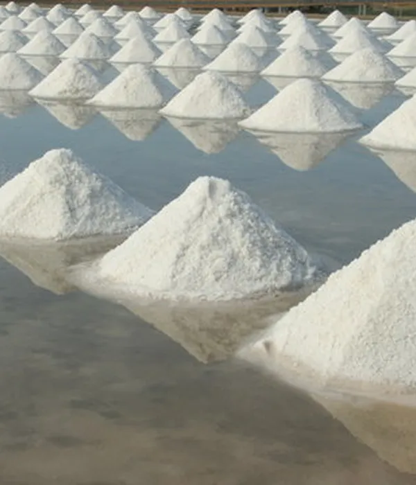Fine Salt